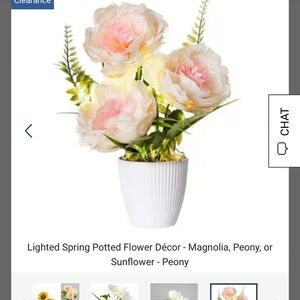 Lighted Spring Potted Flower Décor - Pink and White